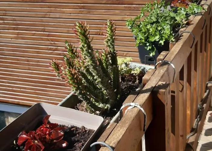 Appartement Etape De St Couat